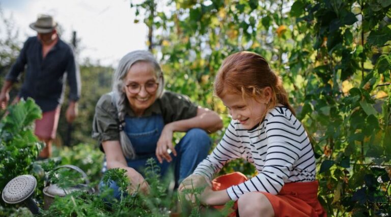 Sustainable Gardening