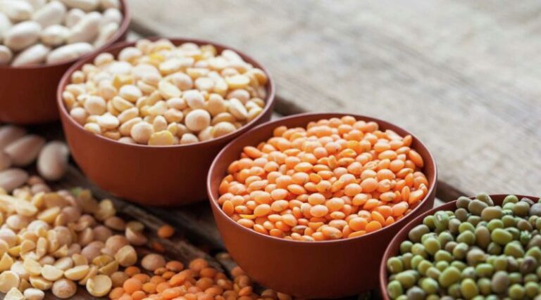 Can of Beans: Nutritional Value, Benefits, and Cooking Tips