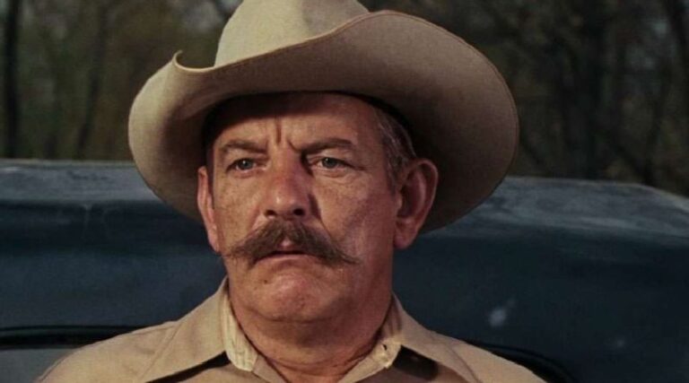 Denver Pyle Net Worth